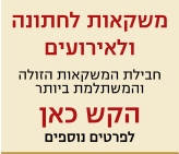משקאות לחתונה